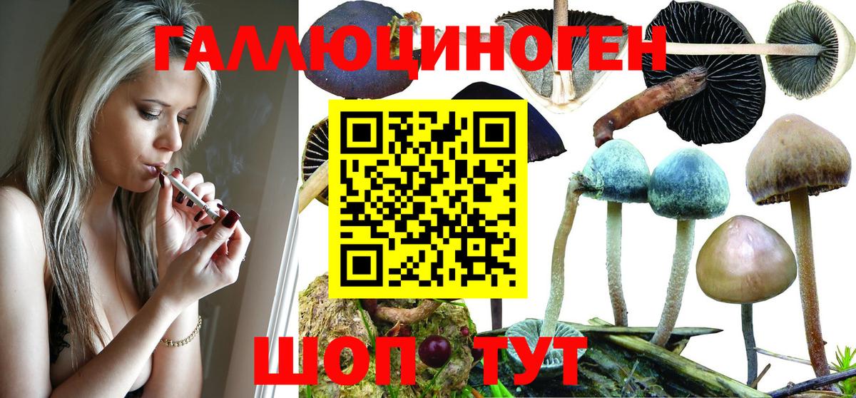 Новодвинск  Галлюциногенные грибы прущие грибы  Галлюциногенные грибы Psilocybine cubensis  Вход с VPN 